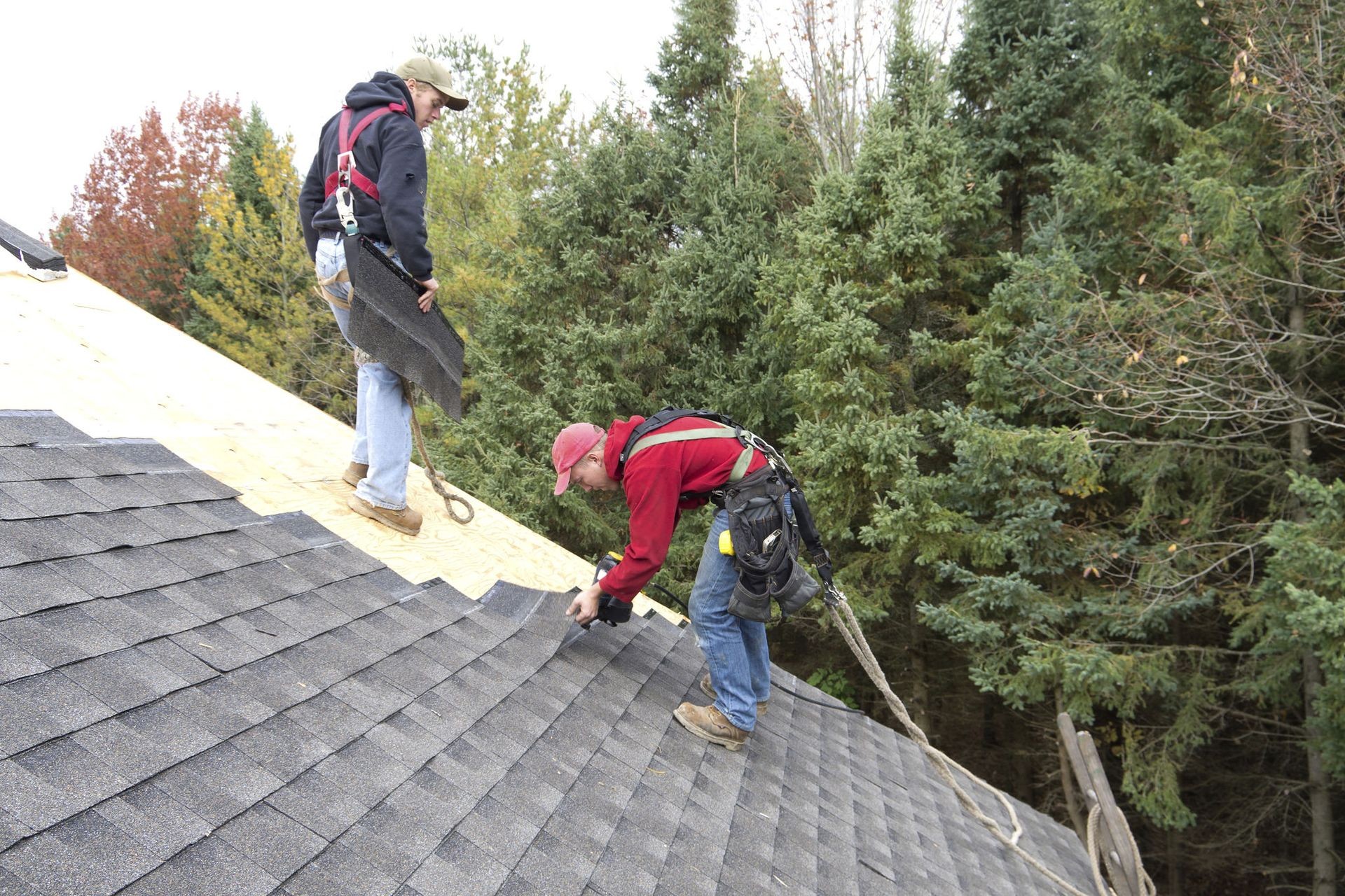 Roofers installing asphalt shingles on a home in Tampa.