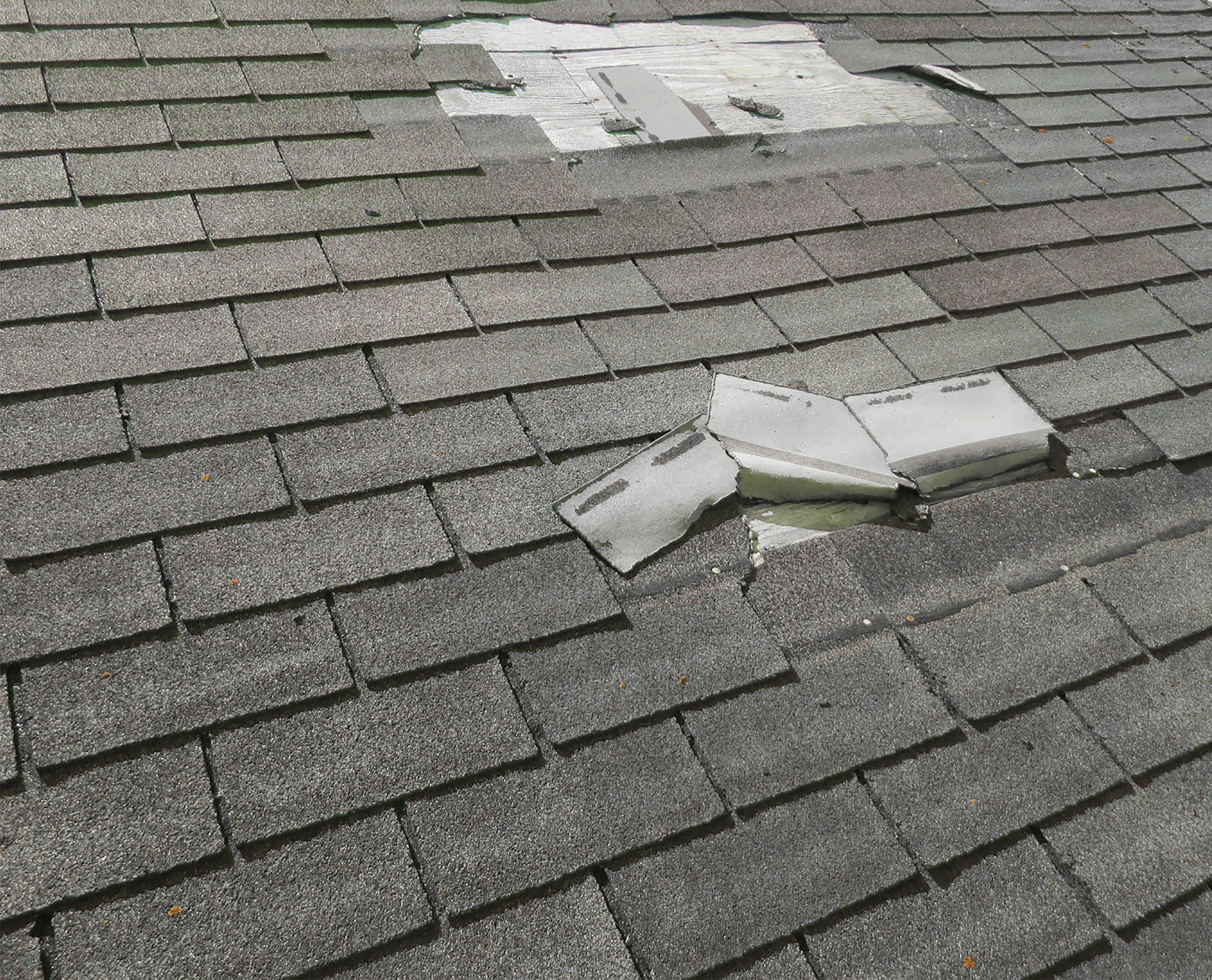 Damaged shingles on a residential roof in Tampa, needing repairs.